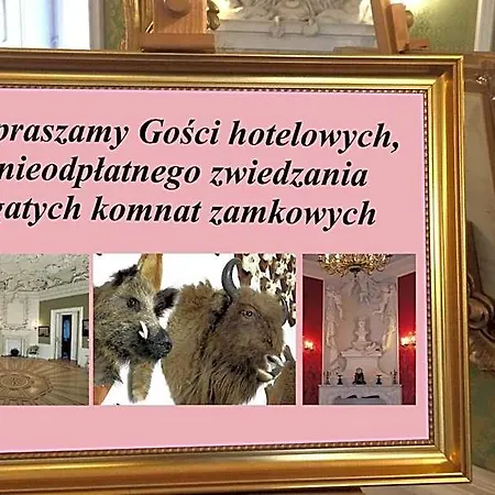 Zamek Krolewski W Rydzynie 3*