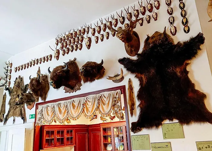 Zamek Krolewski W Rydzynie Hotel Rydzyna