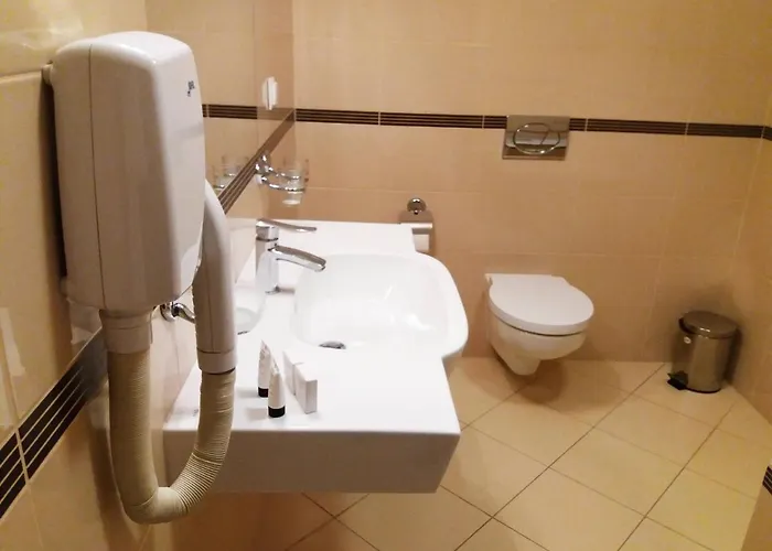 Zamek Krolewski W Rydzynie 3* Rydzyna