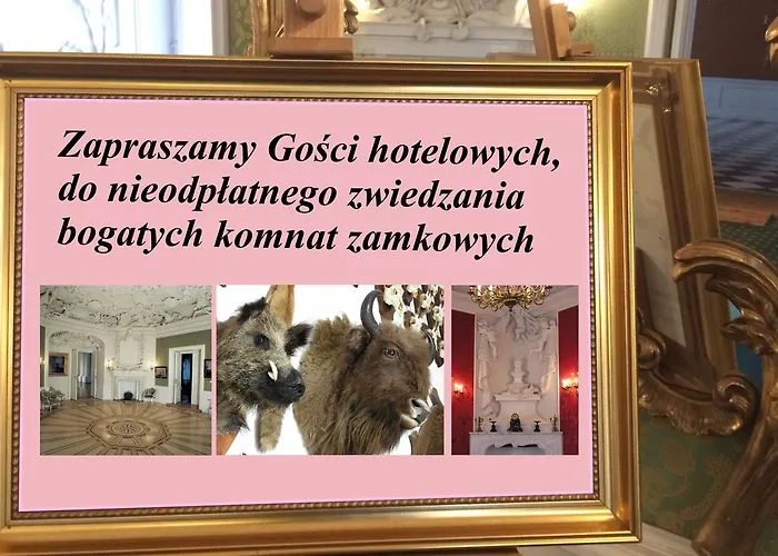 Zamek Krolewski W Rydzynie 3* Rydzyna